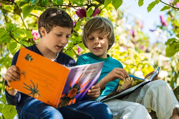 Два мальчика сидят на дереве Стоковая Картинка