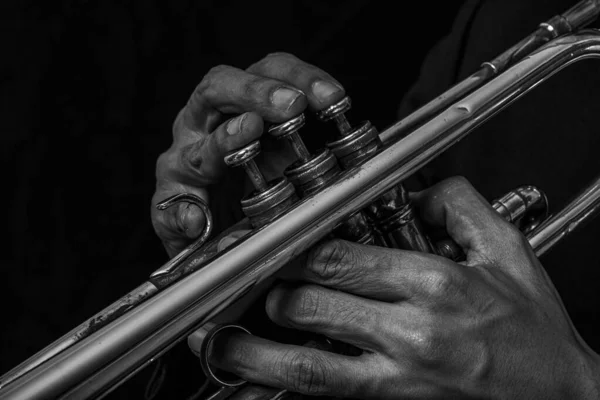 Yakın plan klasik trompet orkestrası siyah-beyaz.