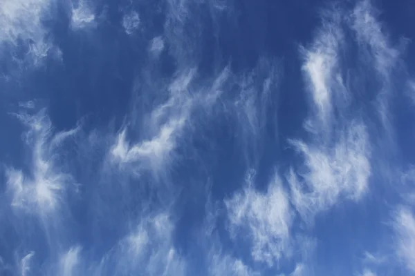 푸른 하늘에 있는 권 운 Uncinus 구름 로열티 프리 스톡 이미지