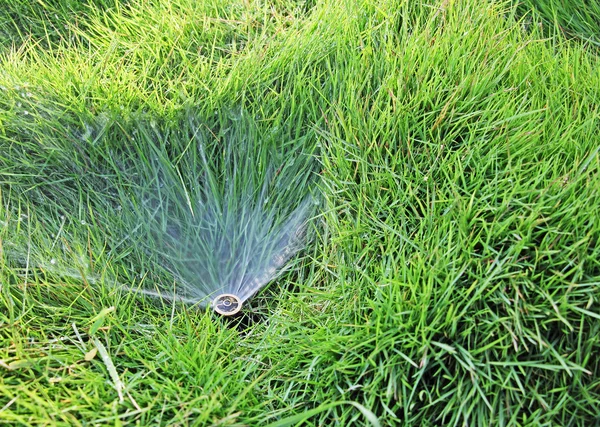 Pequeño aspersor de agua de césped —  Fotos de Stock