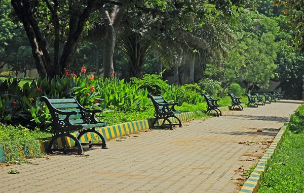 Bancos del parque — Foto de Stock