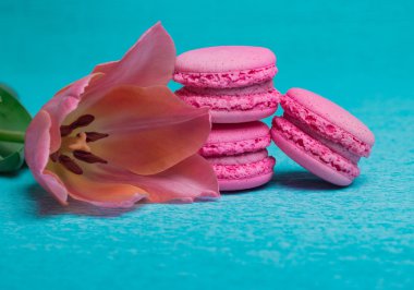 Pembe lale ve üç pembe macaroons