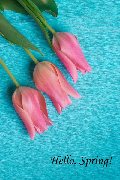 Tag hola mayo con tres tulipanes rosados — Foto de Stock