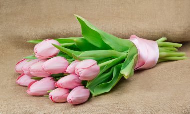 Bir buket pembe saten kurdele ile pembe laleler