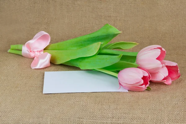 Tres tulipanes rosados con cinta de satén en el sobre — Foto de Stock