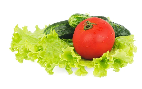 Lechuga, tomate y dos pepinos tumbados en el plato — Foto de Stock