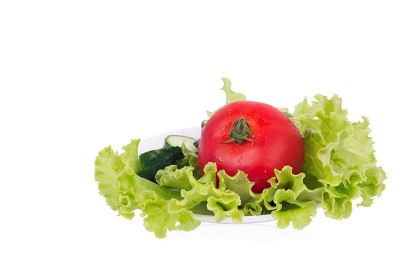 Листя салату з нарізаним огірком і помідорами лежить на тарілці — стокове фото