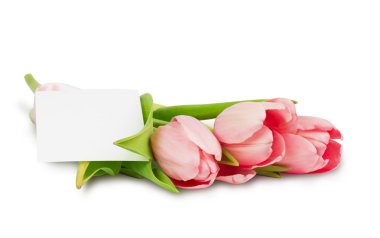 Saten kurdele ve kartpostal ile pembe laleler