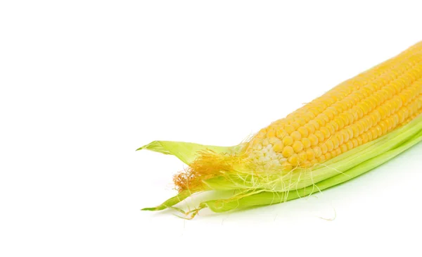 Ухо кукурузы, изолированное на белом — стоковое фото
