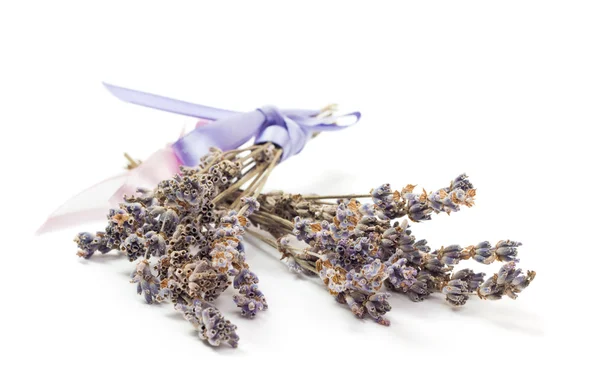 Wellness-Accessoires, zwei Bündel Lavendel isoliert auf weiß — Stockfoto