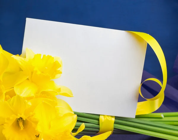 Cubo de flores narcisas, sobre sobre fondo azul-púrpura — Foto de Stock