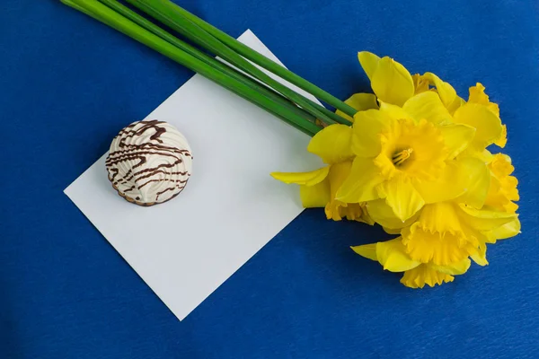 Narciso flores, envelope, marshmallow em fundo azul — Fotografia de Stock