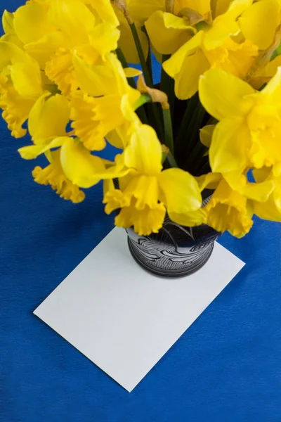 Balde de flores narciso em vaso, envelope sobre fundo azul — Fotografia de Stock