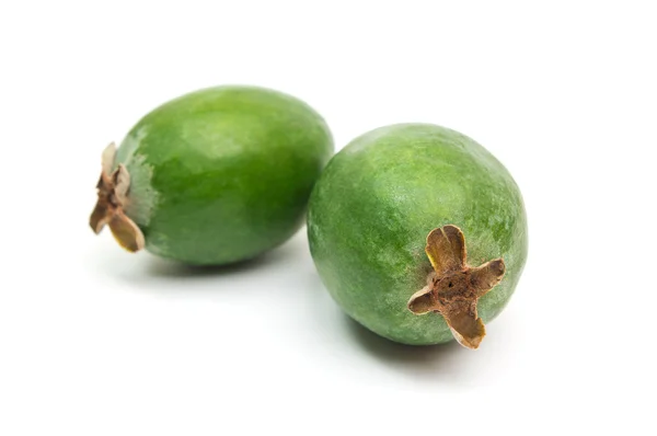 Tropical fruit feijoa isolated on white background — Stock Photo, Image