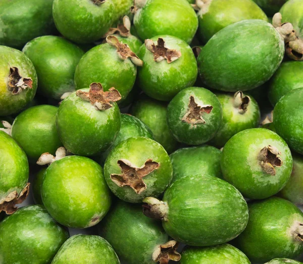 Tropical fruit feijoa background — Stock Photo, Image