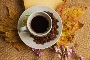 Kitap ile akçaağaç yaprakları ot yalan kahve fincan