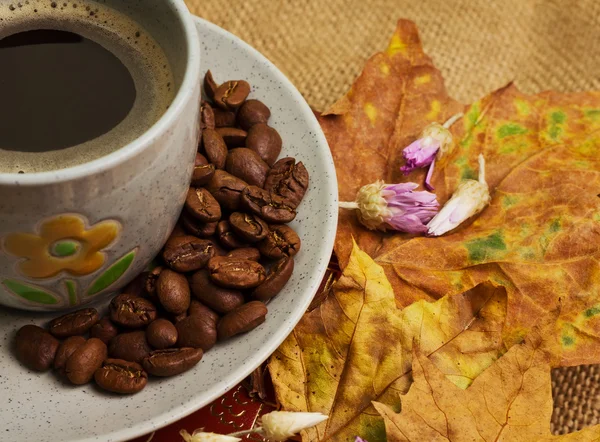 The cup of coffee lying on the books with maple leaves — Stock Photo, Image