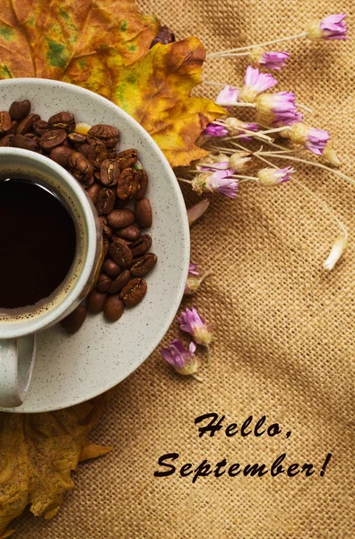 La taza de café con hojas de arce y flores eternas —  Fotos de Stock