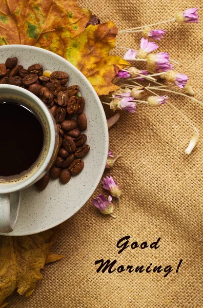 Die Tasse Kaffee mit Ahornblättern und ewigen Blüten — Stockfoto