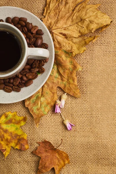 La taza de café con hojas de arce y flores eternas Fotos De Stock
