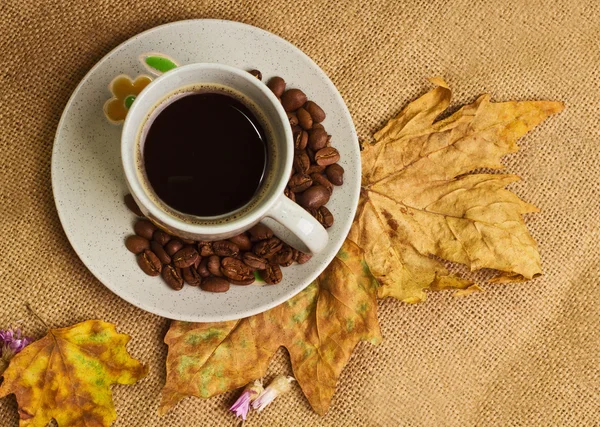 La taza de café con hojas de arce y flores eternas Fotos De Stock Sin Royalties Gratis