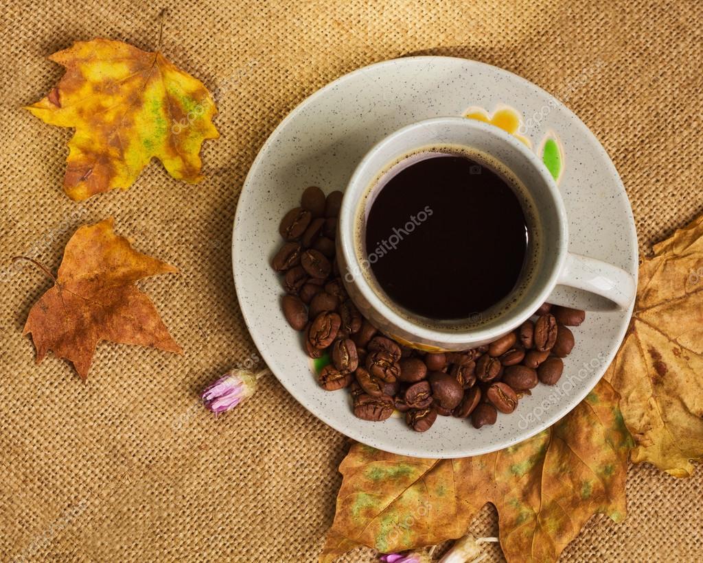 The cup of coffee with maple leaves and everlasting flowers — Stock