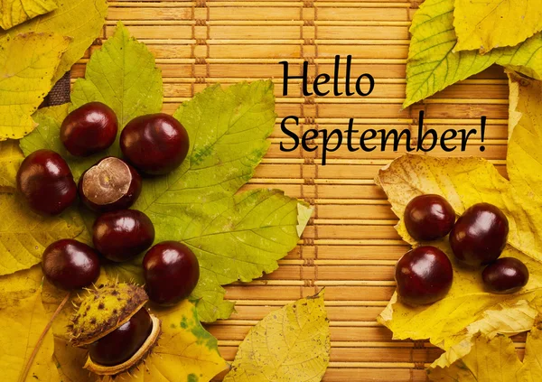 Text hello september on rustic background — Stock Photo, Image