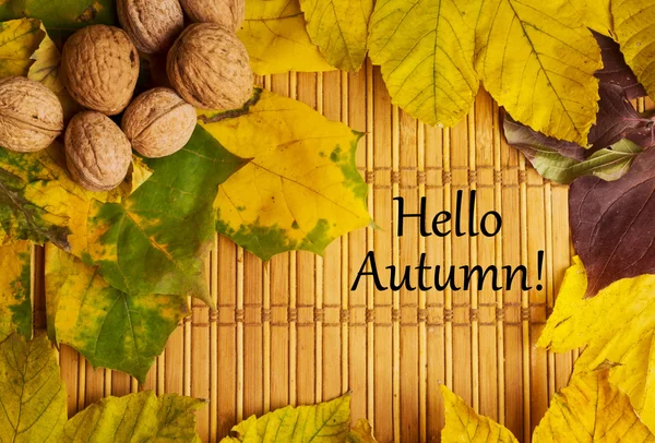 Slova Ahoj podzim na rustikální pozadí — Stock fotografie