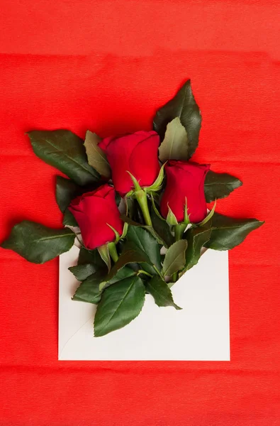 Kytice červených růží v obálce na červené — Stock fotografie