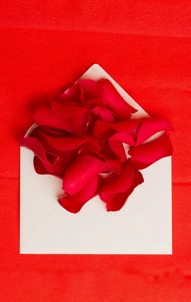 Some red rose petals in envelope on red — Stock Photo, Image