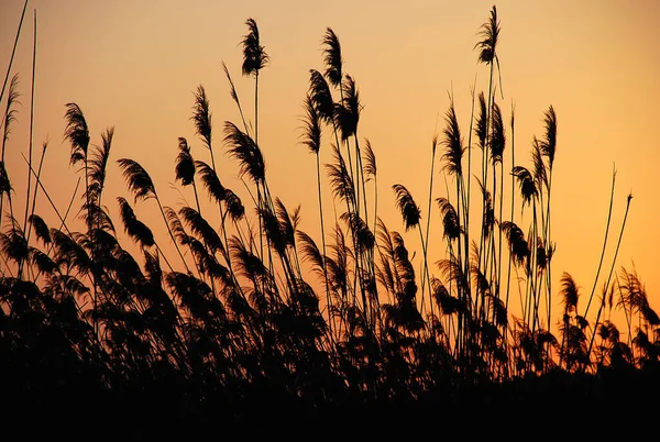 Spektakuläre Farben Bei Sonnenuntergang Auf Mallorca Balearen — Stockfoto