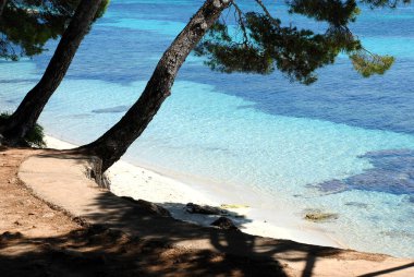 Temiz kum, mavi deniz ve ağaçlarla dolu güzel bir sahilde