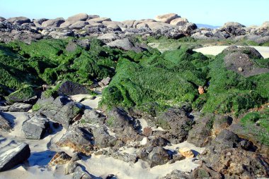 Deniz kıyısında güzel bir sahil, büyük kayalar ve mavi denizde dalgalar.