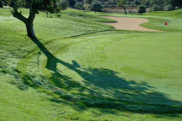 Persona Jugando Golf Hierba Verde — Foto de Stock