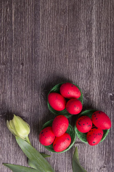 Ovos de Páscoa vermelhos no ninho verde e tulipa — Fotografia de Stock
