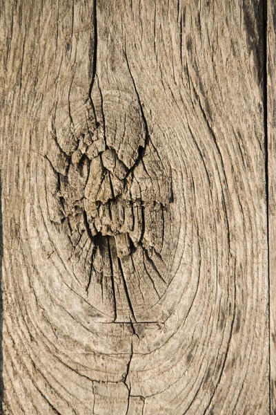 Sfondo in legno — Foto Stock