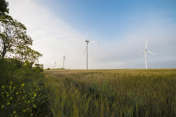 Wtg auf dem Feld in Nordbulgarien — Stockfoto