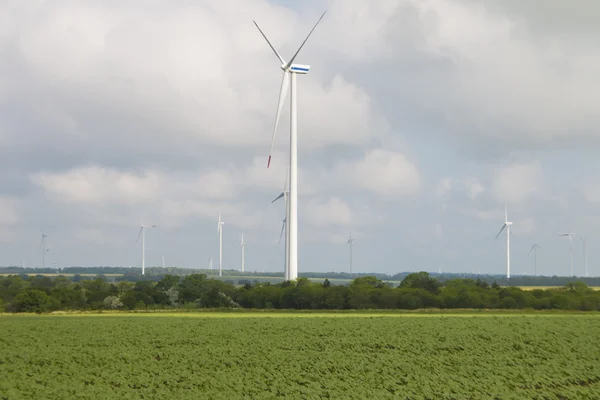 GT en el campo en el norte de Bulgaria — Foto de Stock