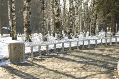 Parkta beyaz sandalyeler