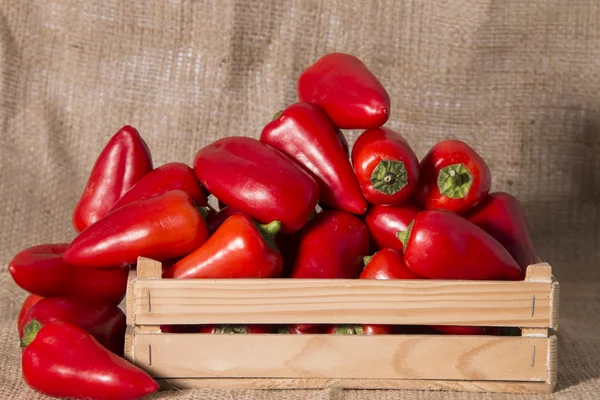 taze kırmızı tatlı biber