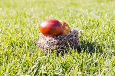 İki kırmızı ve Paskalya yumurta yuvada güneşli çimenlerin üzerinde