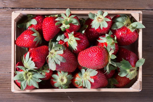 Aardbeien — Stockfoto