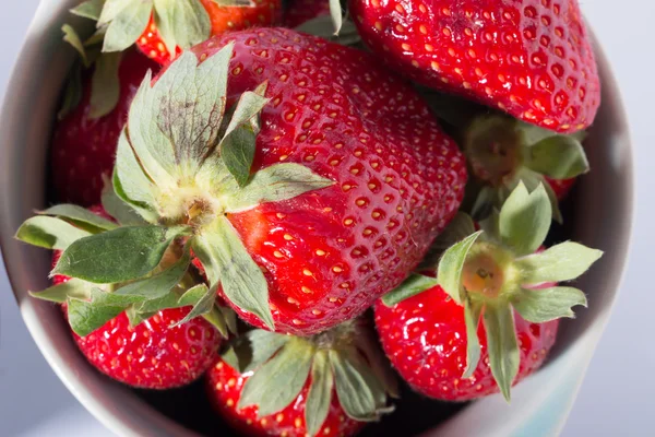 Aardbeien — Stockfoto