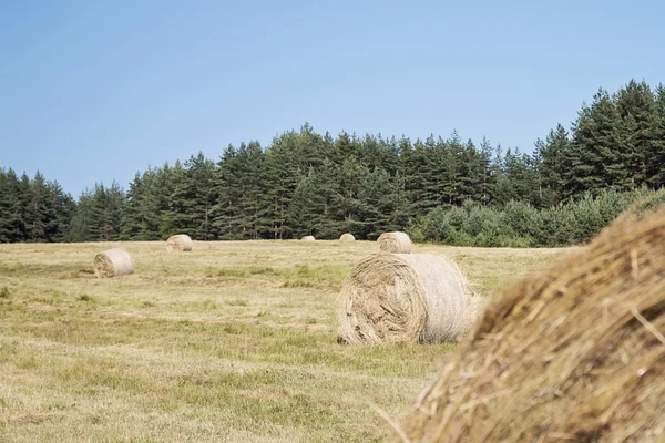 Hooibalen — Stockfoto