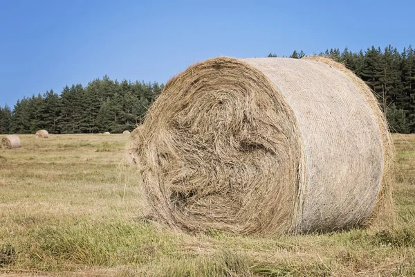 Hay Bales — Stock Photo, Image