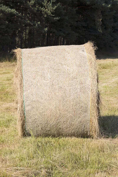 Hay Bale — Stock Photo, Image