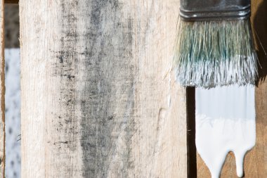 Closeup Of Pine Plank Being Painted In White Color
