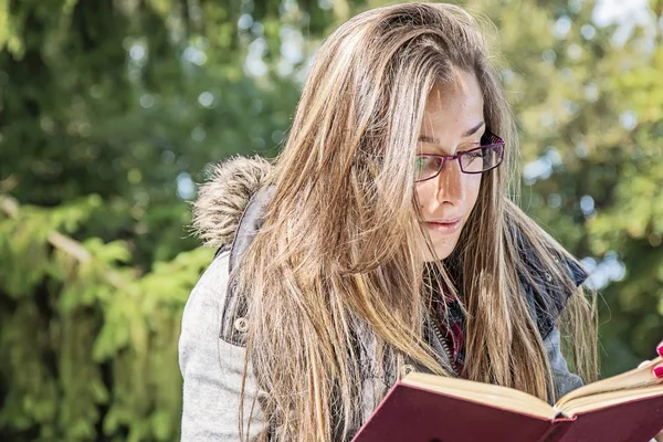 Güzel kız sonbahar Park kitap okuma