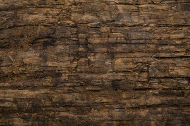 Kahverengi yatay çatlakları olan eski ahşap kütük.