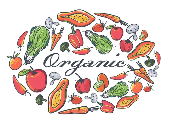 Frutas y verduras orgánicas.Frutas y verduras orgánicas.Orga — Vector de stock